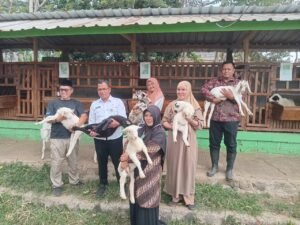 Kunjungan ke Lembah Hijau Farm